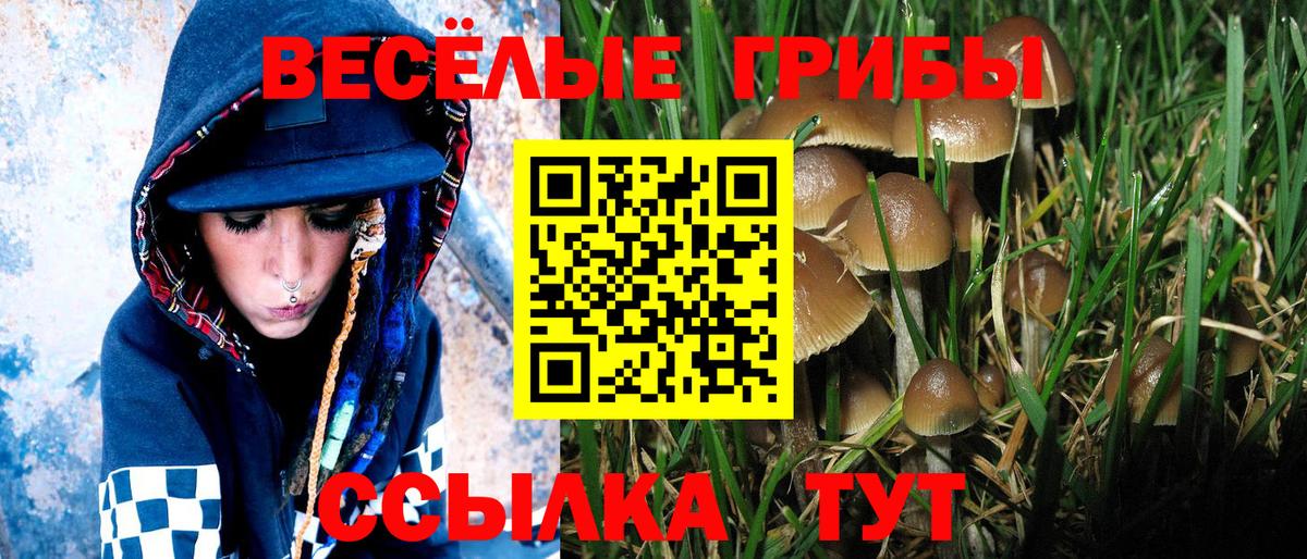 Псилоцибиновые грибы мухоморы  Псилоцибиновые грибы Magic Shrooms  Вход с VPN  Реж 